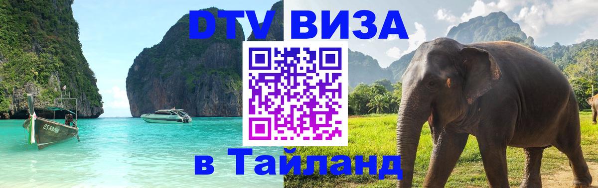 Оформление DTV визы под ключ: стоимость и тарифы, только загранпаспорт - Киров 